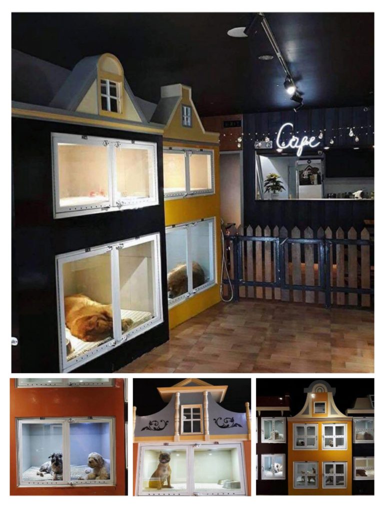 Pet Boarding and Hotels in Metro Manila Camp Demidog