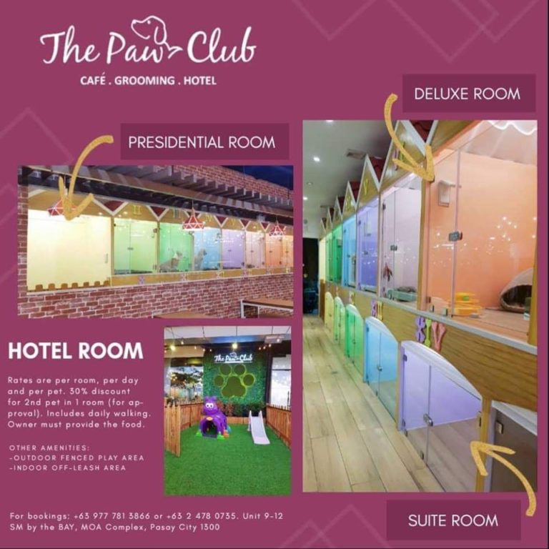 Pet Boarding and Hotels in Metro Manila Camp Demidog